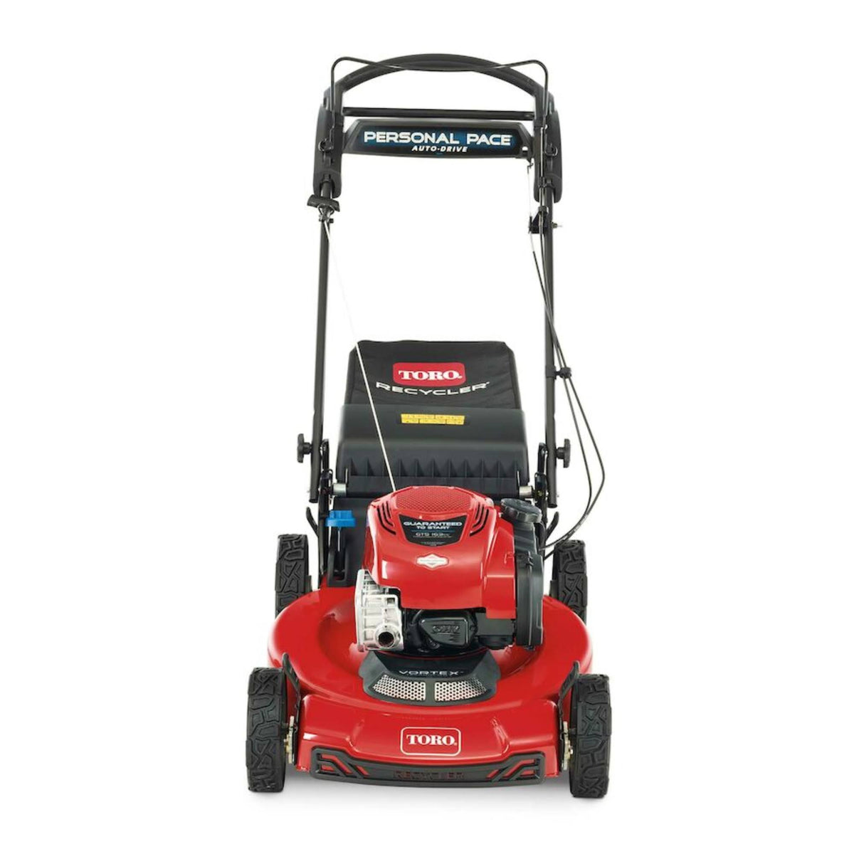 Toro Recycler 22 in. Briggs and Stratton Personal Pace Rear Wheel Drive Gas Self Propelled Lawn Mower