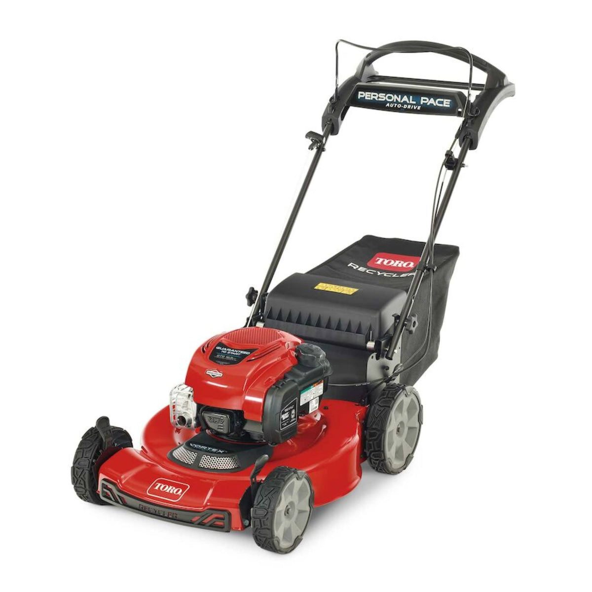 Toro Recycler 22 in. Briggs and Stratton Personal Pace Rear Wheel Drive Gas Self Propelled Lawn Mower